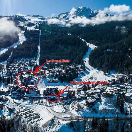 Apartment 2 Pieces A La Tania - Balcon, Skis Aux Pieds, Ideal 4 Pers, Proche Commerces - Fr-1-182a-27